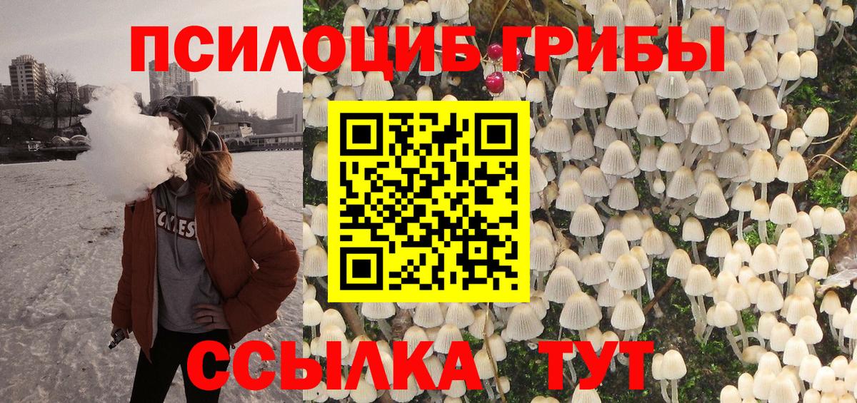 Ликино-Дулёво  Псилоцибиновые грибы мухоморы  Вход с VPN  Псилоцибиновые грибы Psilocybe 