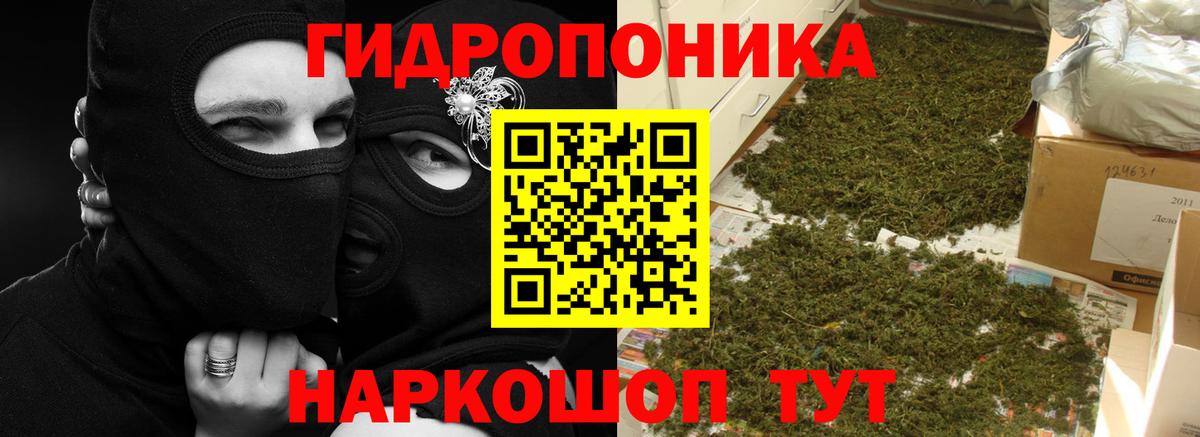 Канабис планчик Ликино-Дулёво